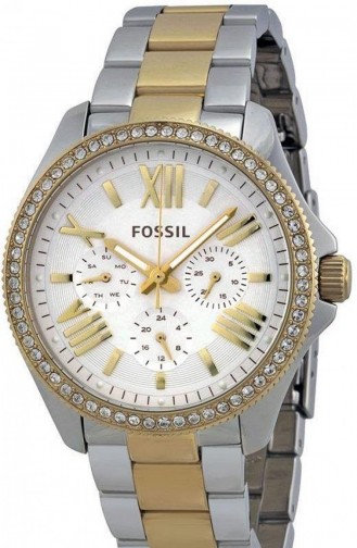 Fossil Am4543 Bayan Kol Saati