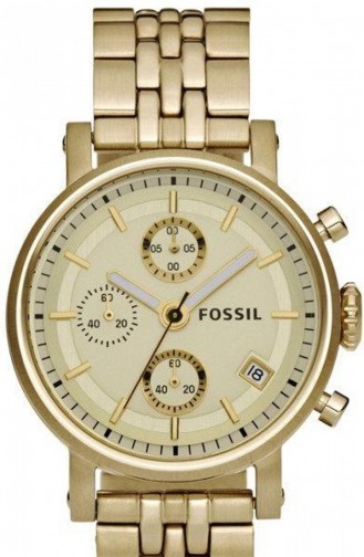 Fossil Women´s Watch Es2197 2197