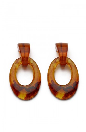 Brown Earrings 7617