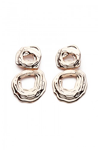  Earrings 7581