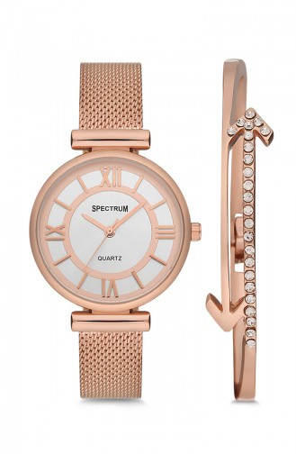 Spectrum Montre Pour Femme CW210777 Cuivre 210777