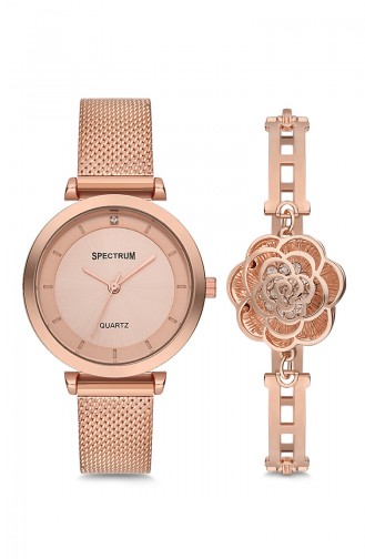 Spectrum Women´s Watches CW210818 Copper 210818