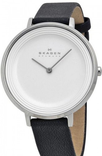 Skagen Skw2261 Bayan Kol Saati