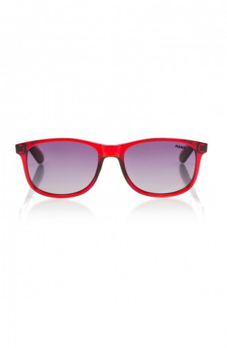 Smoke-Colored Sunglasses 515703