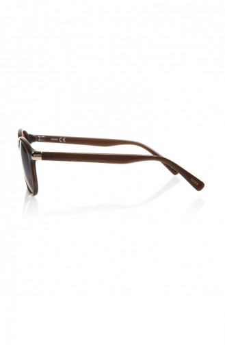 Brown Sunglasses 516014