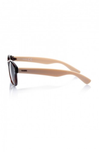 Brown Sunglasses 516647
