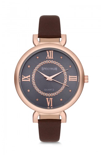 Spectrum Montre Pour Femme WSP330014 Brun 330014