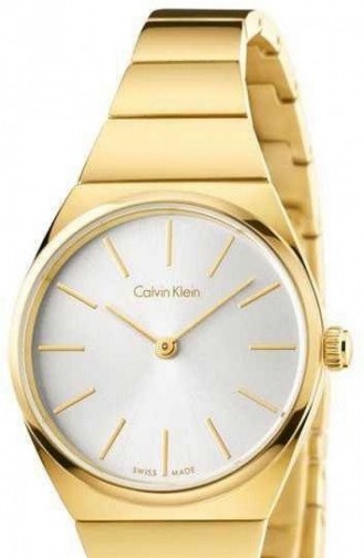 Calvin Klein K6C23546 Montre Pour Femme 6C23546