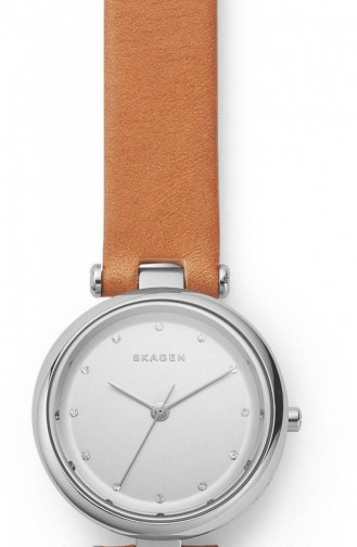 Skagen Skw2455 Montre Pour Femme 2455