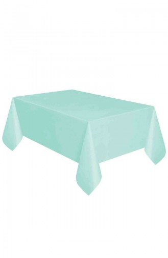 Mint Green Party Supplies 0959