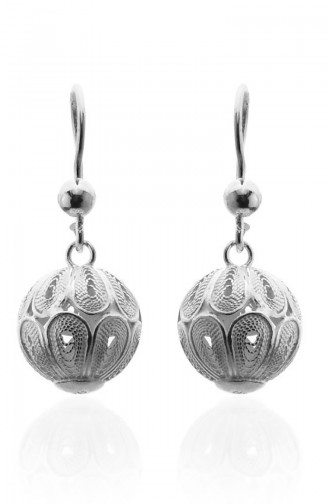 Silver Gray Earrings 101281014