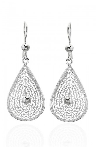 Silver Gray Earrings 101281031