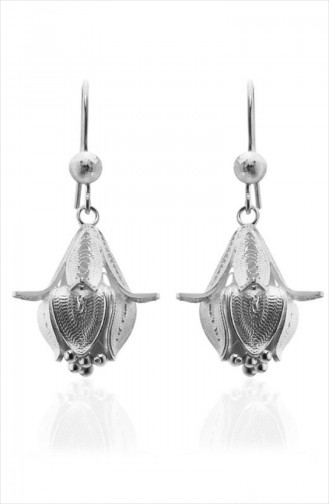 Silver Gray Earrings 101281032