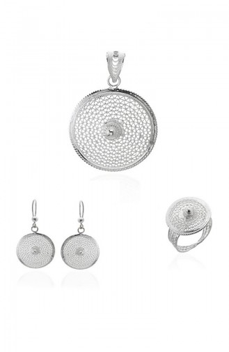 Silver Gray Earrings 101381007