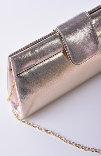 Golden Portfolio Clutch 0494-02