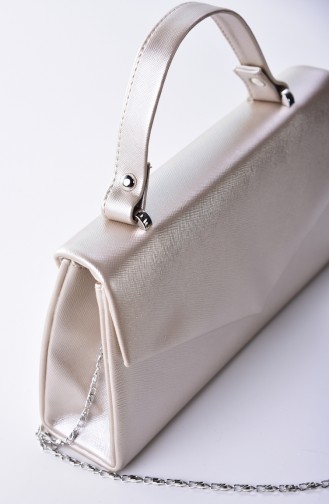 Light Gold Portfolio Clutch 0504-03