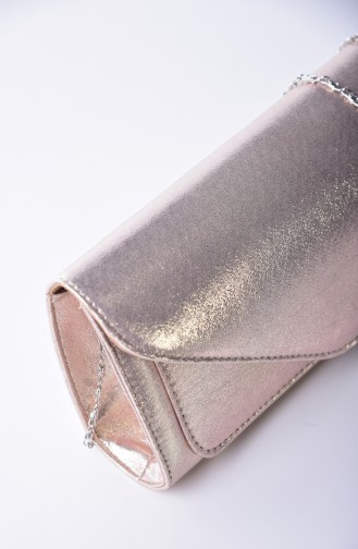 Golden Portfolio Clutch 0407-01