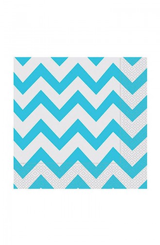 Turquoise Party Materials 0251
