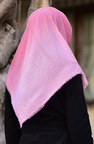 Color Graded Cotton Scarf  2164-06 Light Dried Rose 2164-06