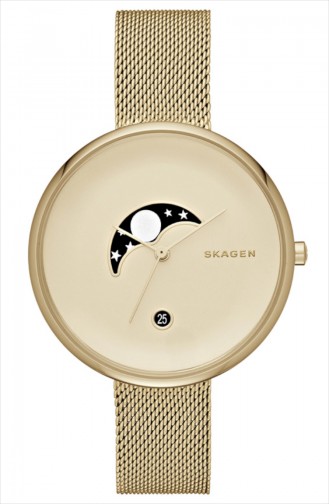 Skagen Montre Pour Femme SKW2373 Jaune 2373