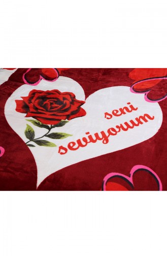 Red Home Textile 10202009