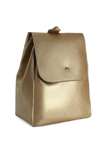 Golden Shoulder Bags 10625AL