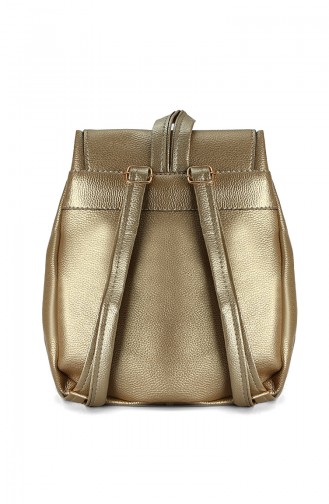 Golden Shoulder Bags 10625AL