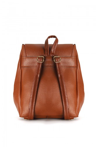 Brown Shoulder Bag 10625KA