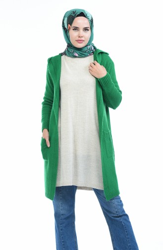 Gilet Tricot a Capuche 4119-02 Vert 4119-02