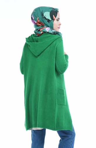 Gilet Tricot a Capuche 4119-02 Vert 4119-02