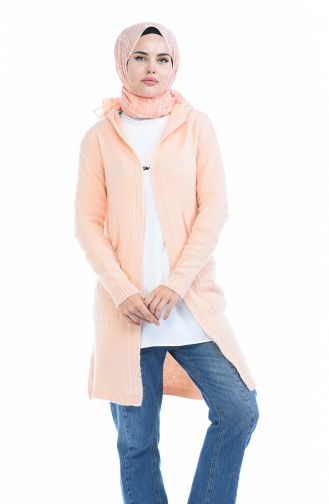 Powder Cardigans 4119-04