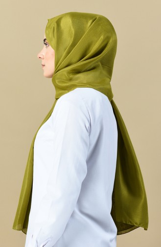 Oil Green Shawl 13092-11