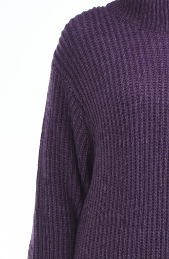 Purple Trui 4017-13