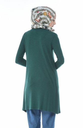 Basic Seasonal Tunic Emerald Color 2201-02