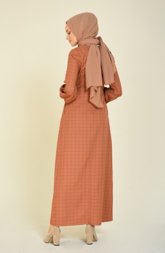 Sleeved Pleated Dress Brown Tobacco 2089-01