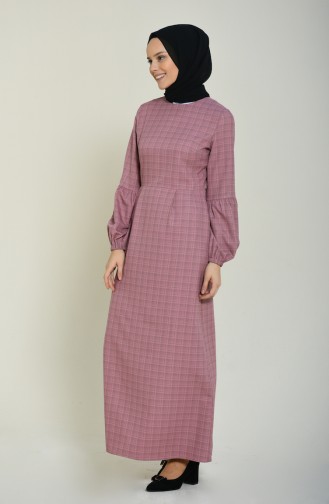 Sleeved Pleated Dress Dried rose 2089-02