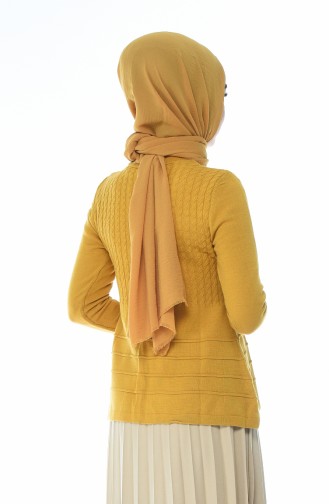 Tricot Sweater Mustard color 10011-09