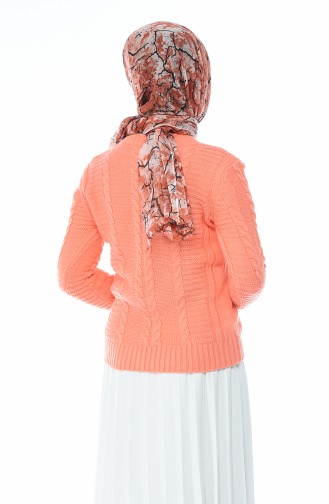Tricot Sweater with Pearl Coral 8034-07