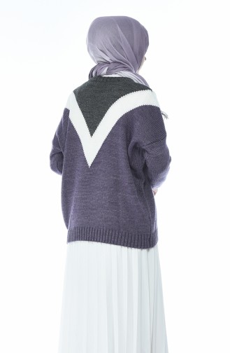 Tasseled Tricot Sweater Purple 8035-03