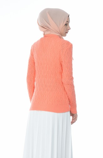 Trikot Perlen Pullover 7701-02 Koralle 7701-02