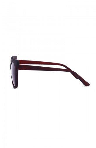 Brown Sunglasses 667-01