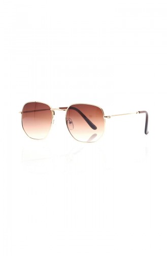 Brown Sunglasses 612-01