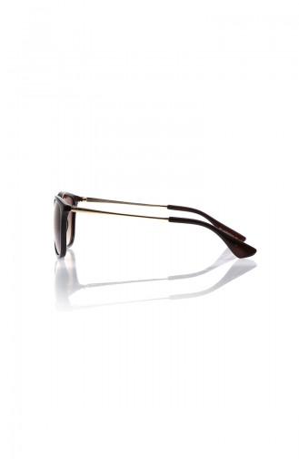 Brown Sunglasses 618-01