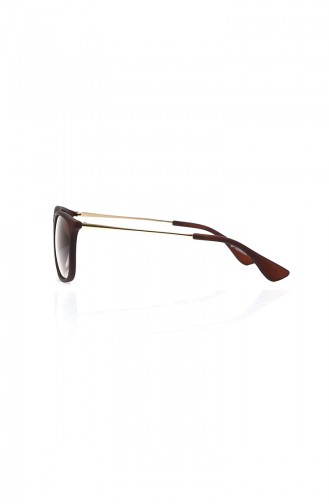 Brown Sunglasses 618-03