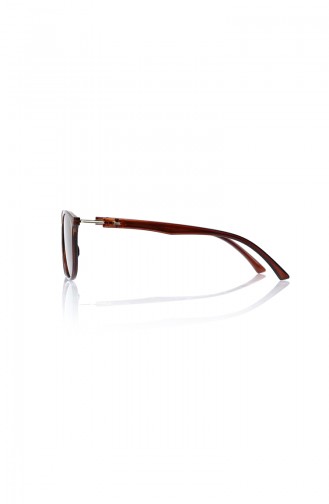 Brown Sunglasses 672-01