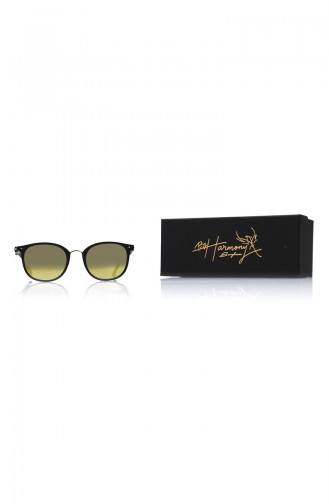 Black Sunglasses 672-03