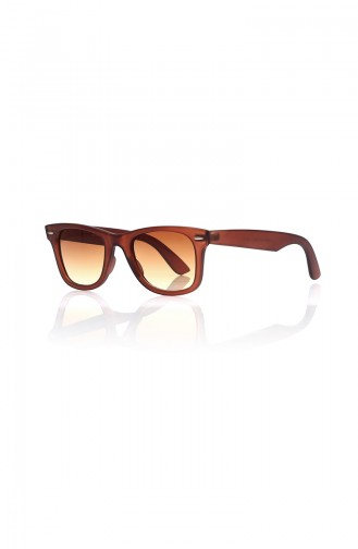Brown Sunglasses 686-01