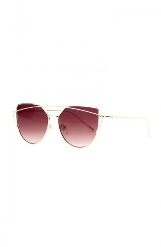 Brown Sunglasses 693-04