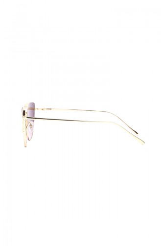 Brown Sunglasses 693-04