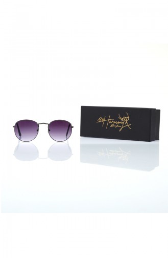 Smoke-Colored Sunglasses 4-01